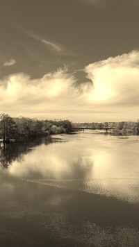 Sepia