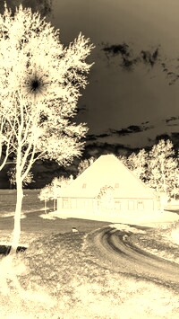 Sepia + Negatyw