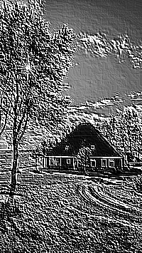 Skamielina