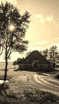 Szary + Sepia