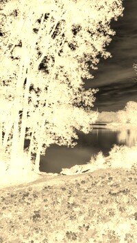Sepia + Negatyw