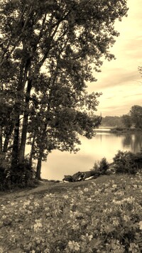 Szary + Sepia