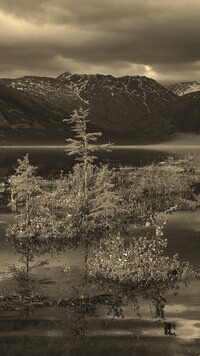 Szary + Sepia
