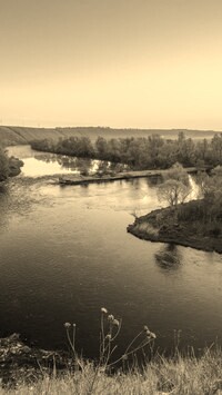 Sepia