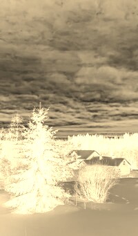 Sepia + Negatyw