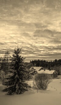 Szary + Sepia