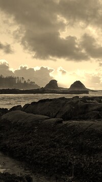 Szary + Sepia
