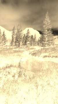 Sepia + Negatyw