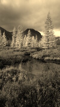 Sepia