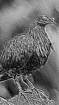 Skamielina