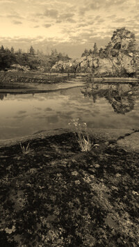 Sepia