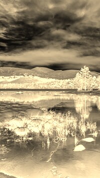 Sepia + Negatyw