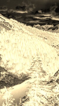 Sepia + Negatyw