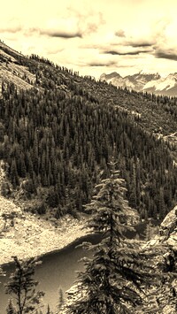 Szary + Sepia