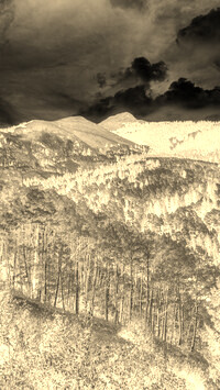 Sepia + Negatyw