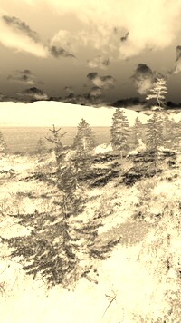 Sepia + Negatyw