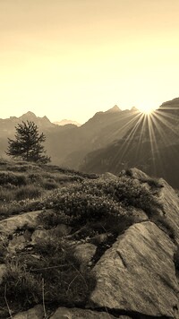 Sepia