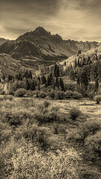 Sepia