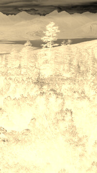 Sepia + Negatyw