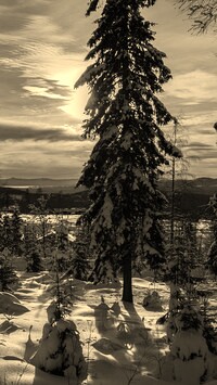 Sepia