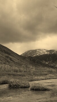 Sepia