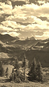 Szary + Sepia