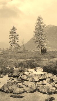 Szary + Sepia