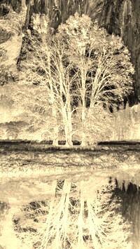 Sepia + Negatyw