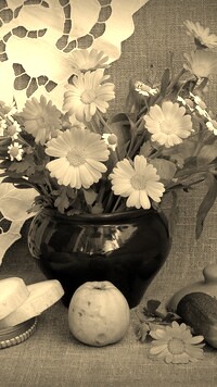 Szary + Sepia