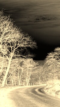 Sepia + Negatyw