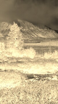Sepia + Negatyw
