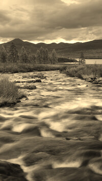 Sepia