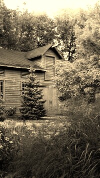 Szary + Sepia