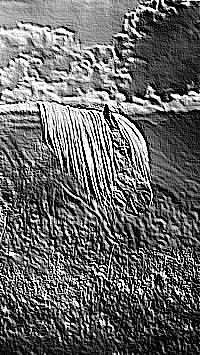 Skamielina