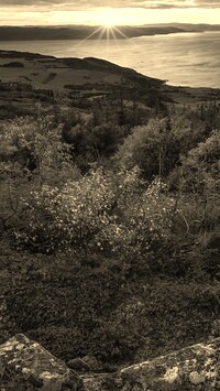 Sepia