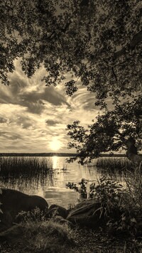 Szary + Sepia