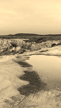 Sepia
