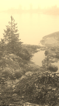Szary + Sepia