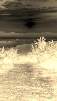 Sepia + Negatyw