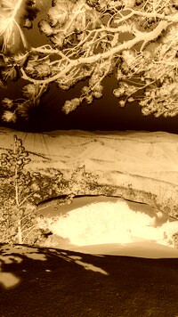 Sepia + Negatyw