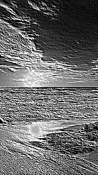 Skamielina
