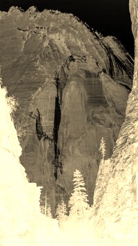 Sepia + Negatyw