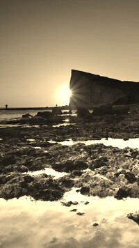 Szary + Sepia