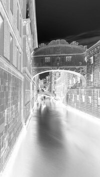 Szary + Negatyw