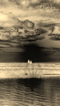 Sepia + Negatyw