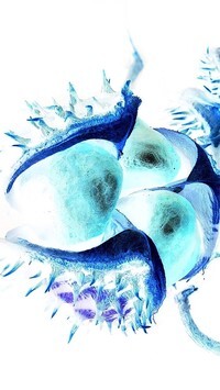 Negatyw