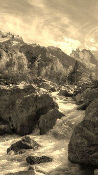 Szary + Sepia