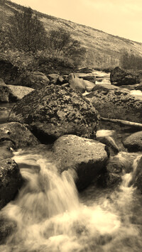 Sepia