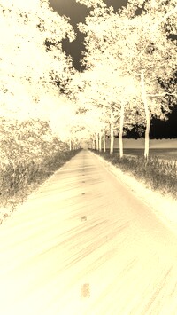 Sepia + Negatyw