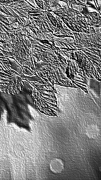 Skamielina